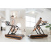 Бігова доріжка електрична NOHRD Citius Club Treadmill