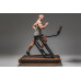 Бігова доріжка NOHRD Citius Vintage Oak Treadmill