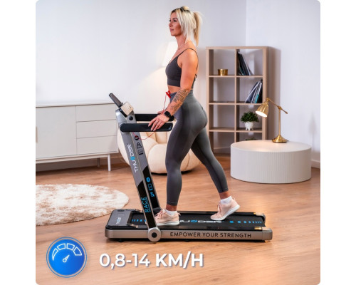 Бігова доріжка електрична THUNDER RACE-SILVER