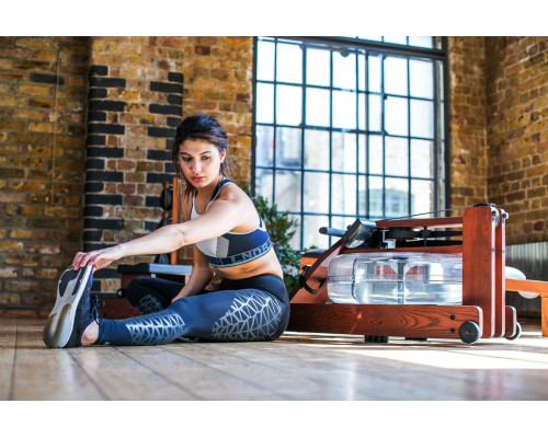 Веслувальний тренажер WaterRower Performance Rowing Machine SR Walnut