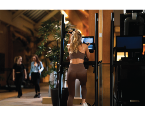 Вертикальний тренажер CLMBR Pure