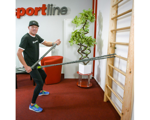 Шведська стіна inSPORTline Steadyline 240 x 90 cm