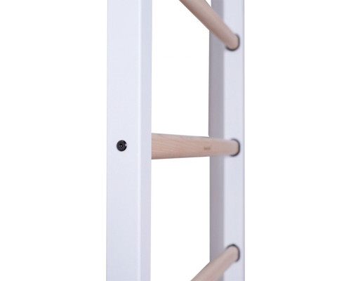 Драбина гімнастична BenchK (830191) Драбина гімнастична BenchK (830191)