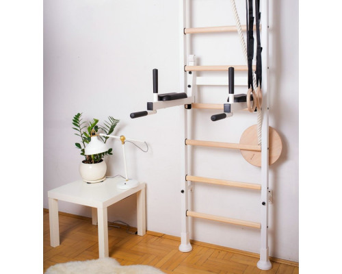 Драбина гімнастична BenchK (830191) Драбина гімнастична BenchK (830191)