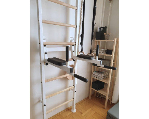 Драбина гімнастична BenchK (830191) Драбина гімнастична BenchK (830191)