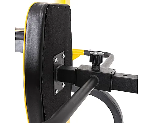 Багатофункціональна стаціонарна стійка для підтягувань inSPORTline Power Tower PT250 Чорна