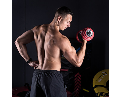 Гантелі розбірні HMS SGGX20 з перехідником для штанги, 20 кг