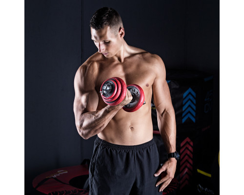 Гантелі розбірні HMS SGGX20 з перехідником для штанги, 20 кг