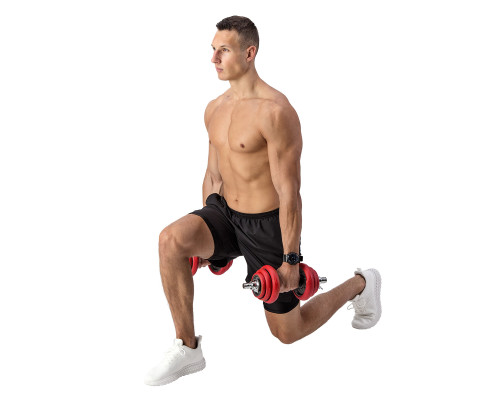 Гантелі розбірні HMS SGGX20 з перехідником для штанги, 20 кг