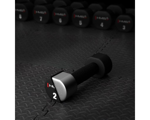 Гантелі HMS HPT02 2 х 2 кг