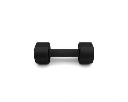 Гантелі HMS HPT03 2 х 3 кг