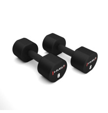 Гантелі HMS HPT08 2 х 8 кг