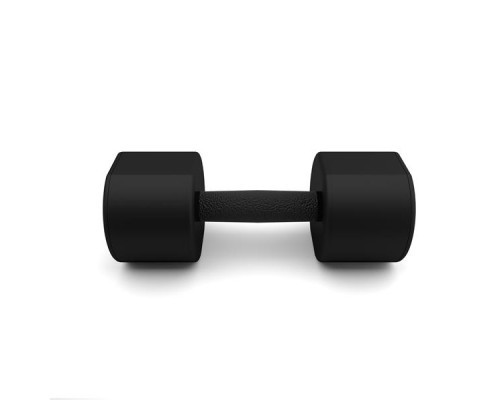 Гантелі HMS HPT09 2 х 9 кг