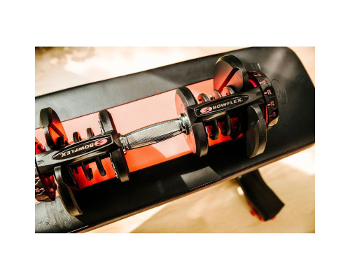 Гантелі розбірні сталеві Bowflex SelectTech 1090i, 2 х 41 кг