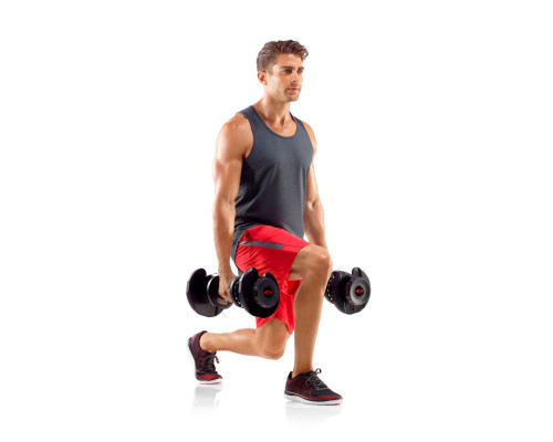 Гантелі розбірні сталеві Bowflex SelectTech 1090i, 2 х 41 кг