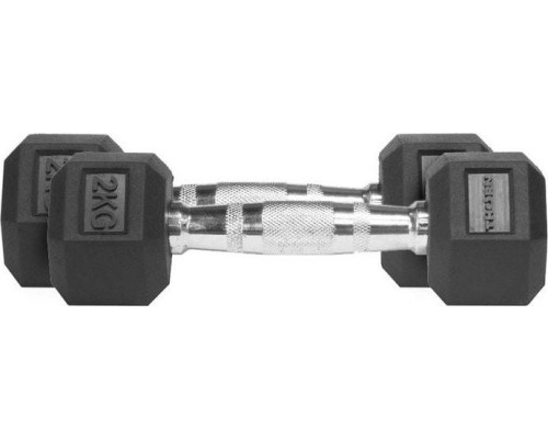 Шестигранні гантелі Thorn+Fit 2x2 кг Шестигранні гантелі Thorn+Fit 2x2 кг