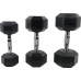 Гантель шестигранна Rebel Hantel Hex 15 кг