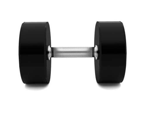 Гантель сталева HMS HPC, 27.5 кг