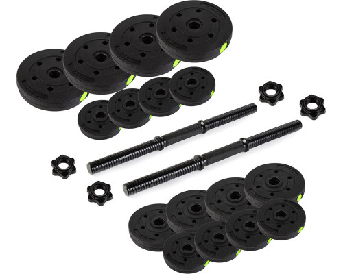 Гантелі розбірні бітумні Zipro 2 х 20 кг