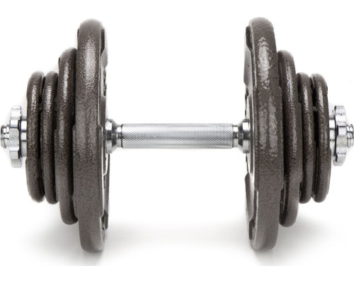 Гантелі розбірні чавунні Abarqs HKS-40, 2 х 20 кг