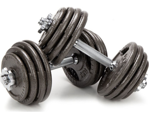 Гантелі розбірні чавунні Abarqs HKS-40, 2 х 20 кг