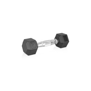Гантель шестигранна inSPORTline Hexclusive 2 кг