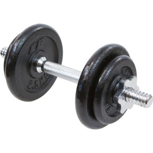 Гантель розбірна чавунна Eb Fit 10 кг