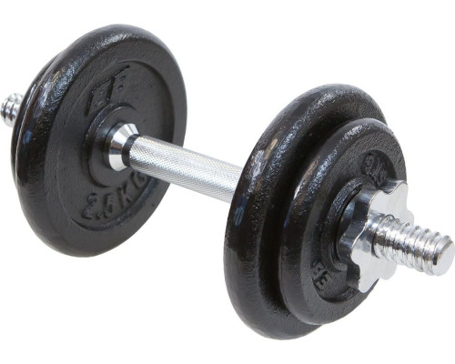 Гантель розбірна чавунна Eb Fit 10 кг Гантель розбірна чавунна Eb Fit 10 кг