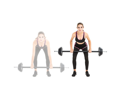 Штанга inSPORTline Pumpstar 20 кг