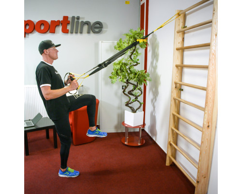 Шведська стіна inSPORTline Steadyline 195 х 80 см
