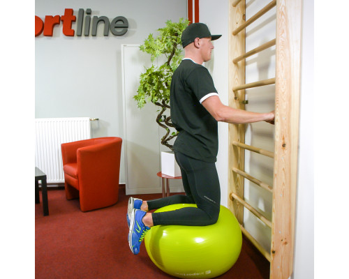 Шведська стіна inSPORTline Steadyline 195 х 80 см