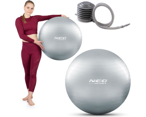 Гімнастичний м'яч для фітнесу 65 см NS-951 сірий