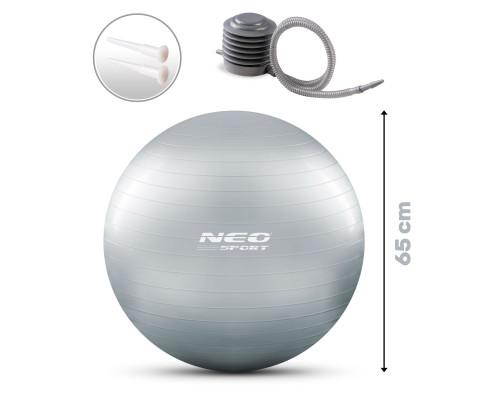 Гімнастичний м'яч для фітнесу 65 см NS-951 сірий