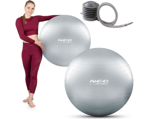 Гімнастичний м'яч для аеробіки 75 см NS-952 сірий