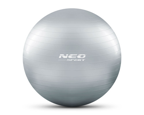 Гімнастичний м'яч для аеробіки 75 см NS-952 сірий