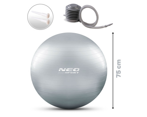 Гімнастичний м'яч для аеробіки 75 см NS-952 сірий