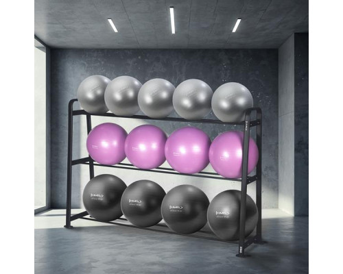 Набір гімнастичних м'ячів HMS YB02 зі стійкою STR43