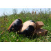 Подушка для медитації YA'Fu YFU-29.201, коричнева