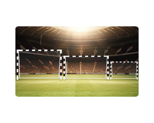 Ворота футбольні Neo-Sport NS-465 300 х 200 х 120 см, чорно-білі