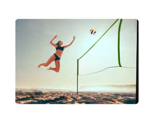 Сітка та рамка для волейболу та бадмінтону 570 см