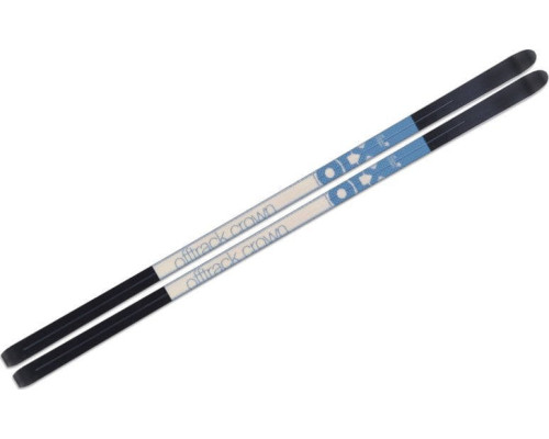 Бігові лижі Fischer Spider 62 Crown Xtralite + кріплення Control Step-In IFP 2022