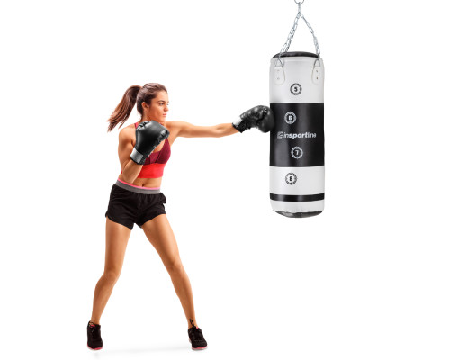 Мішок боксерський inSPORTline Robkin 287845, чорно-сріблястий