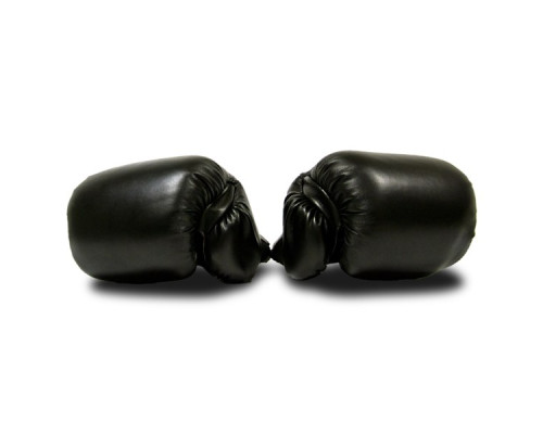 Рукавички боксерські MASTER розмір 14 унцій, чорні