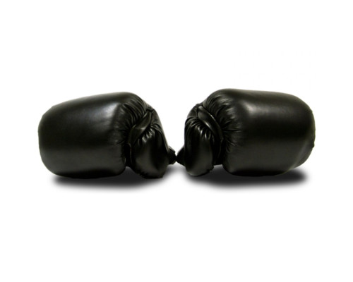 Рукавички боксерські MASTER розмір 10 унцій, чорні