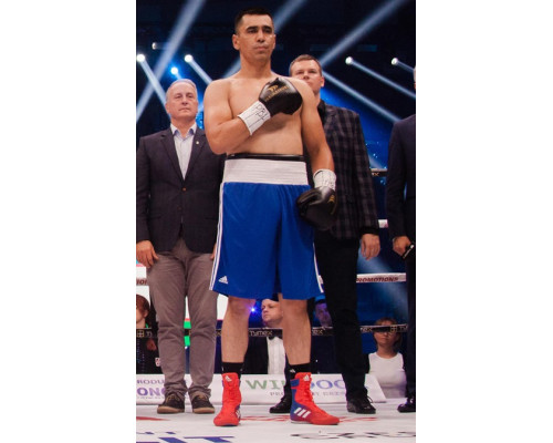 Рукавички боксерські Yakimasport TIGER BLACK L розмір 10 унцій, чорні