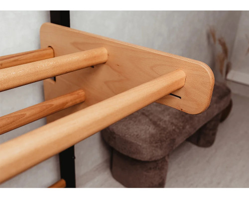 Шведська стінка BenchK 211B 230 х 67 см з турніком, чорна