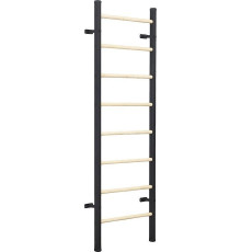 Шведська стінка BenchK 200B 225 х 77 см, чорна