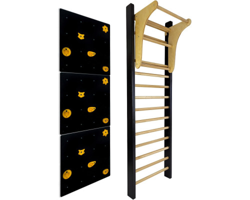 Шведська стінка UNDERFIT LEON 220 x 80 см з турніком та скеледромом, чорна