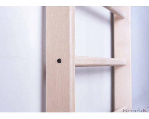 Шведська стінка BenchK 110 220 х 67 см, дерев'яна