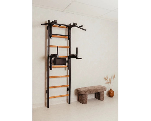 Шведська стінка BenchK 232B 230 х 67 см з турніком та брусами, чорна